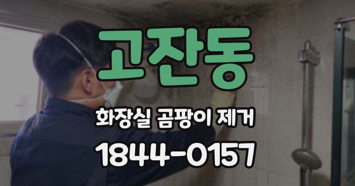 고잔동 화장실 곰팡이 제거