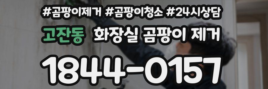 고잔동 화장실 곰팡이 제거
