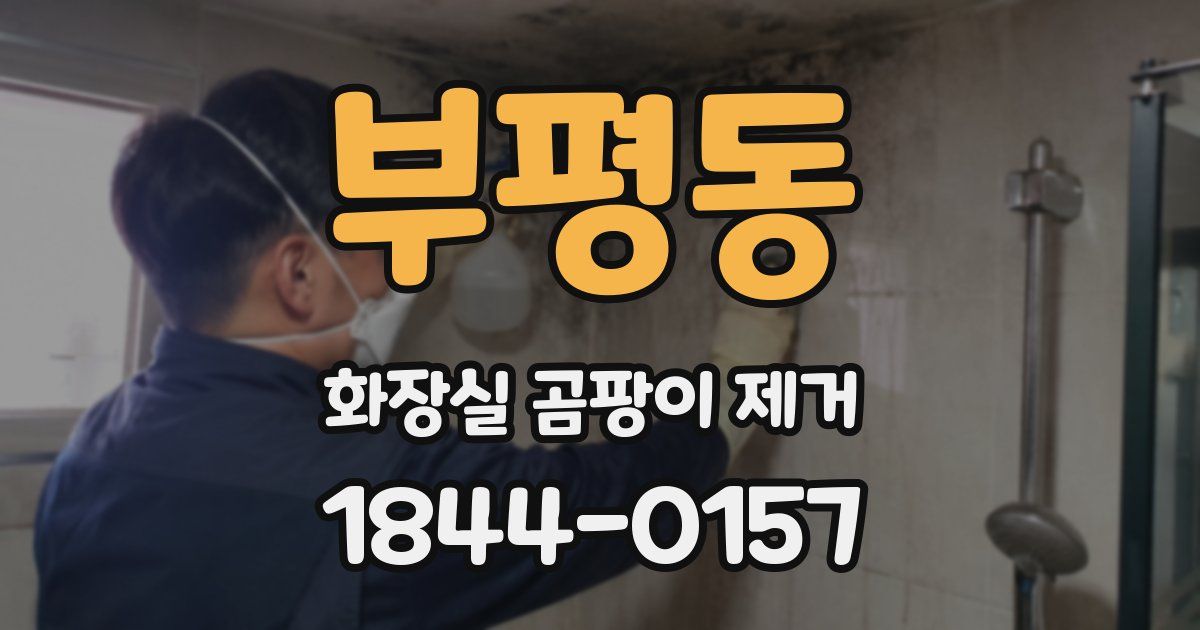 부평동 화장실 곰팡이 제거