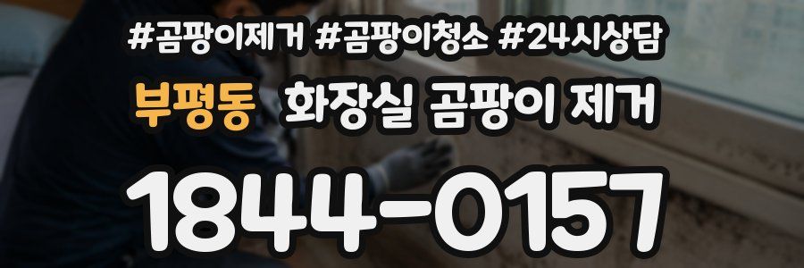 부평동 화장실 곰팡이 제거