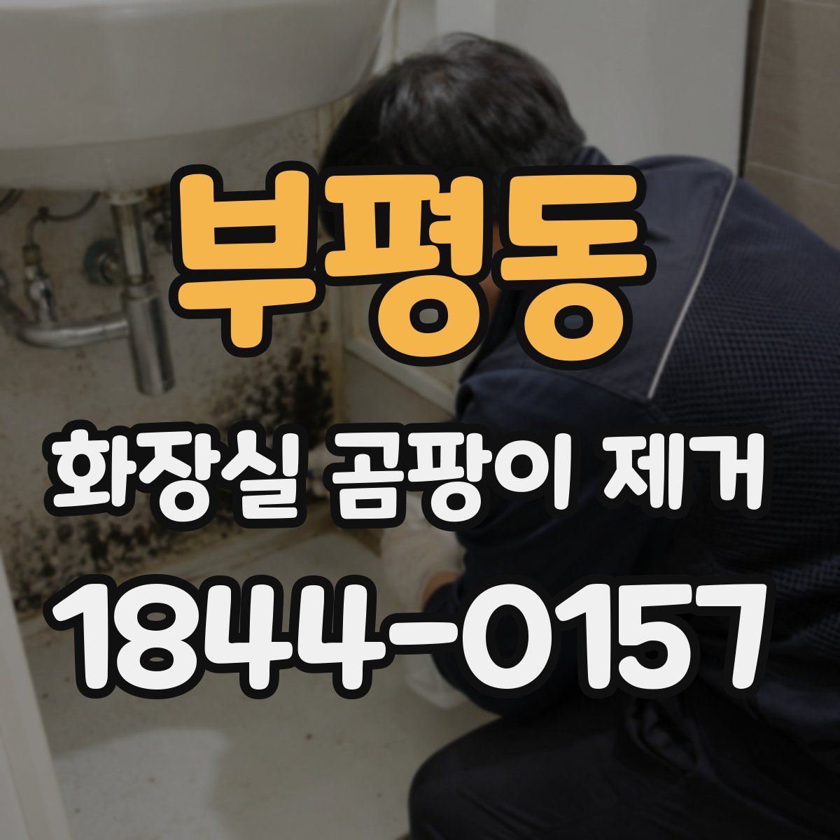 부평동 화장실 곰팡이 제거