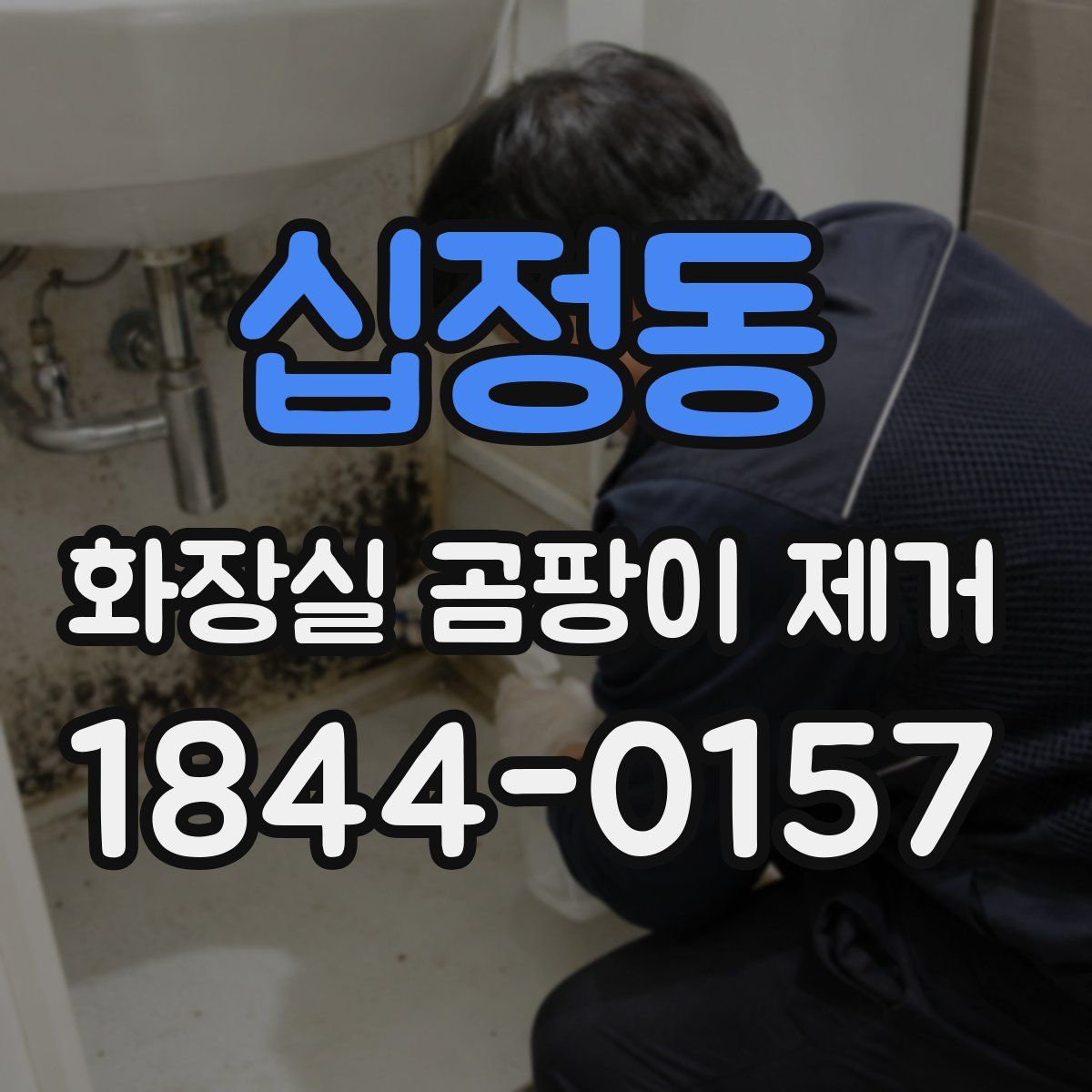 십정동 화장실 곰팡이 제거