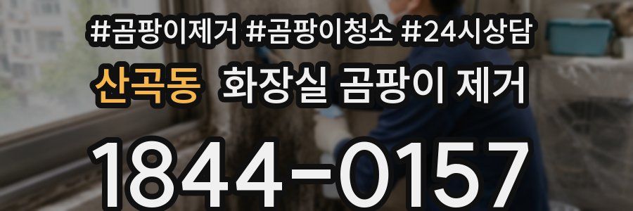 산곡동 화장실 곰팡이 제거