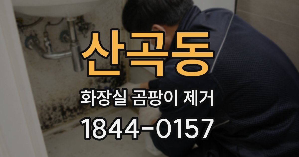 산곡동 화장실 곰팡이 제거