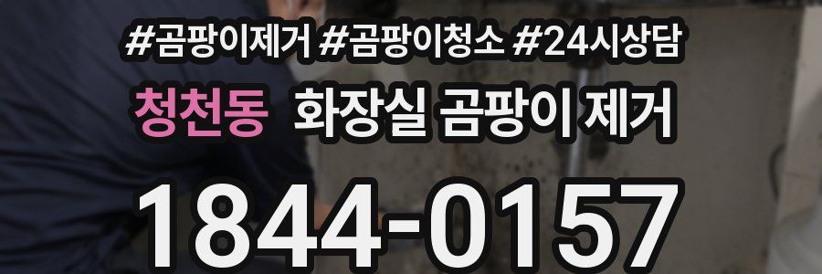 청천동 화장실 곰팡이 제거