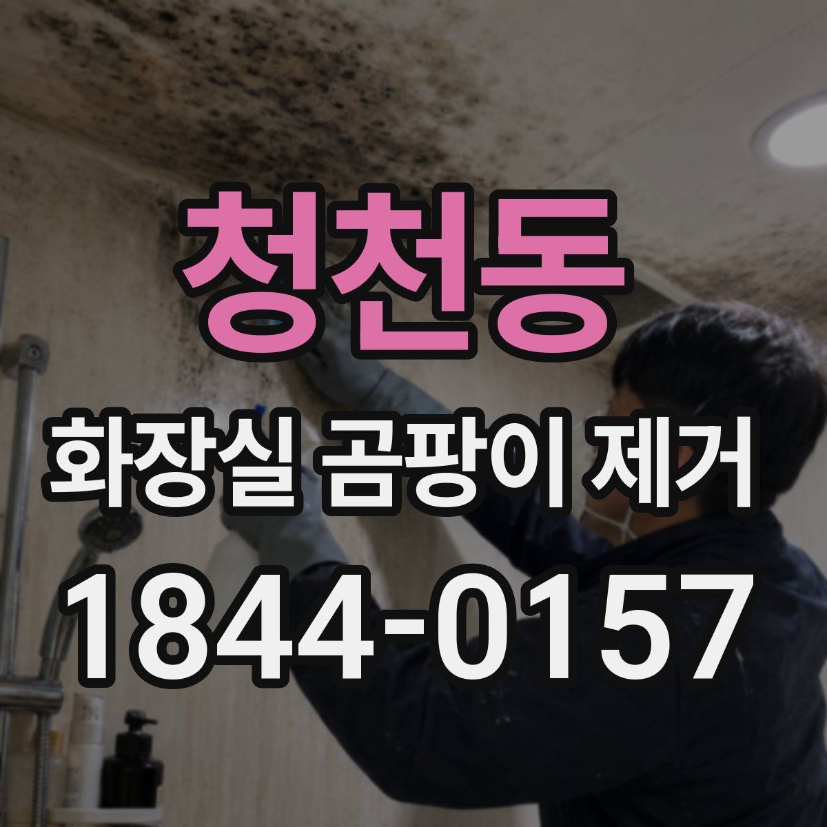 청천동 화장실 곰팡이 제거