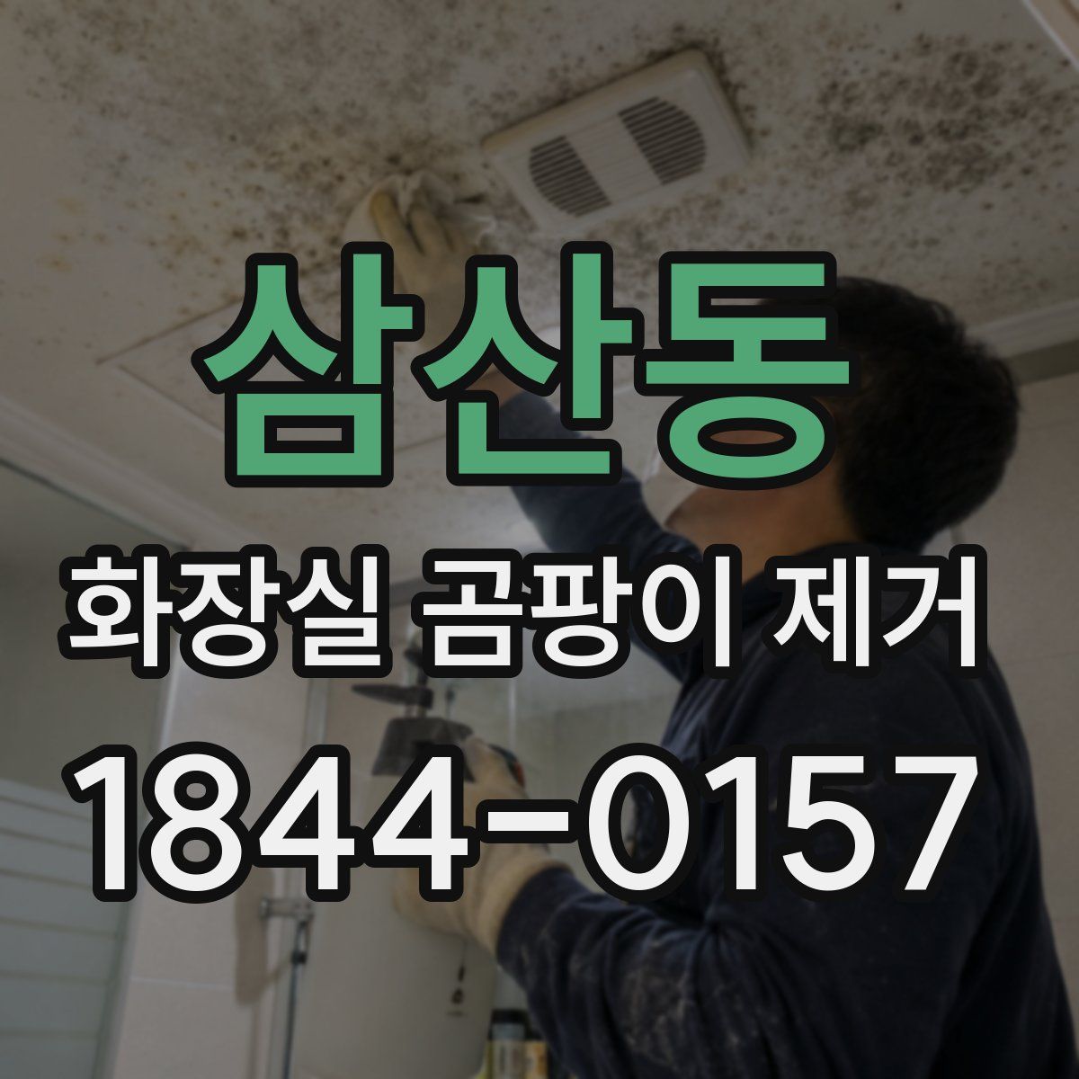 삼산동 화장실 곰팡이 제거
