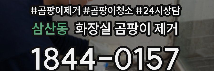 삼산동 화장실 곰팡이 제거