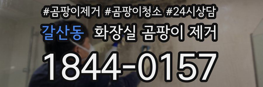 갈산동 화장실 곰팡이 제거