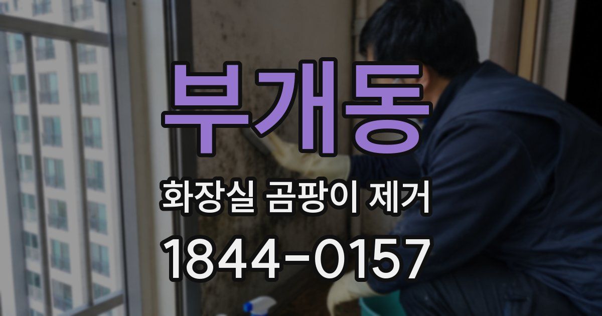 부개동 화장실 곰팡이 제거