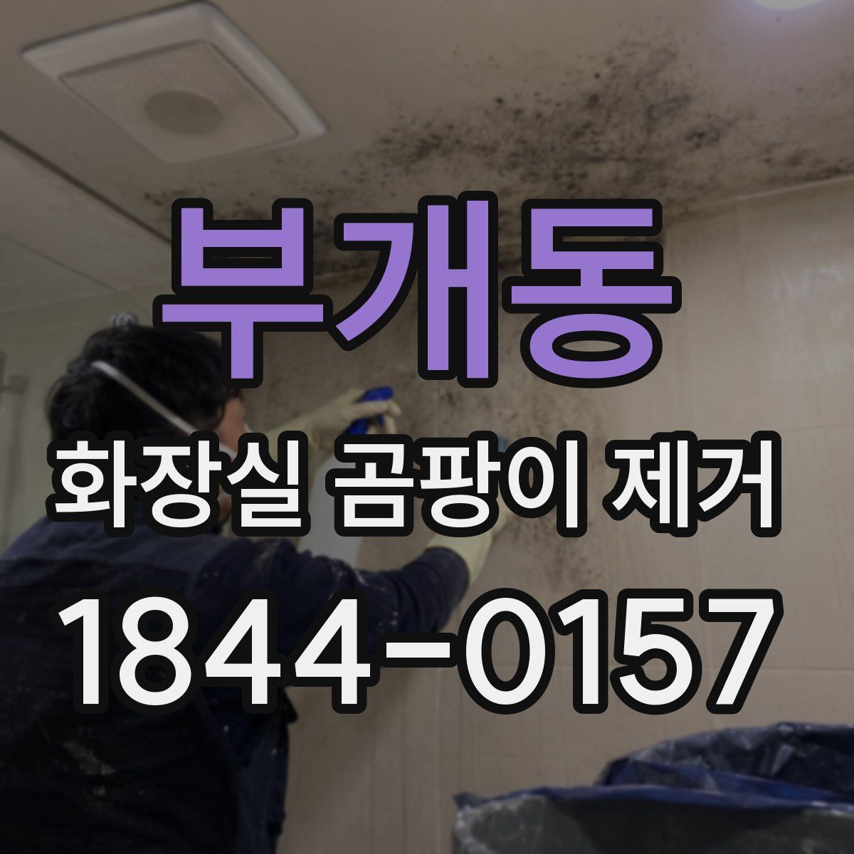 부개동 화장실 곰팡이 제거