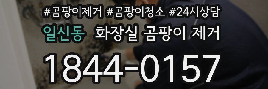 일신동 화장실 곰팡이 제거