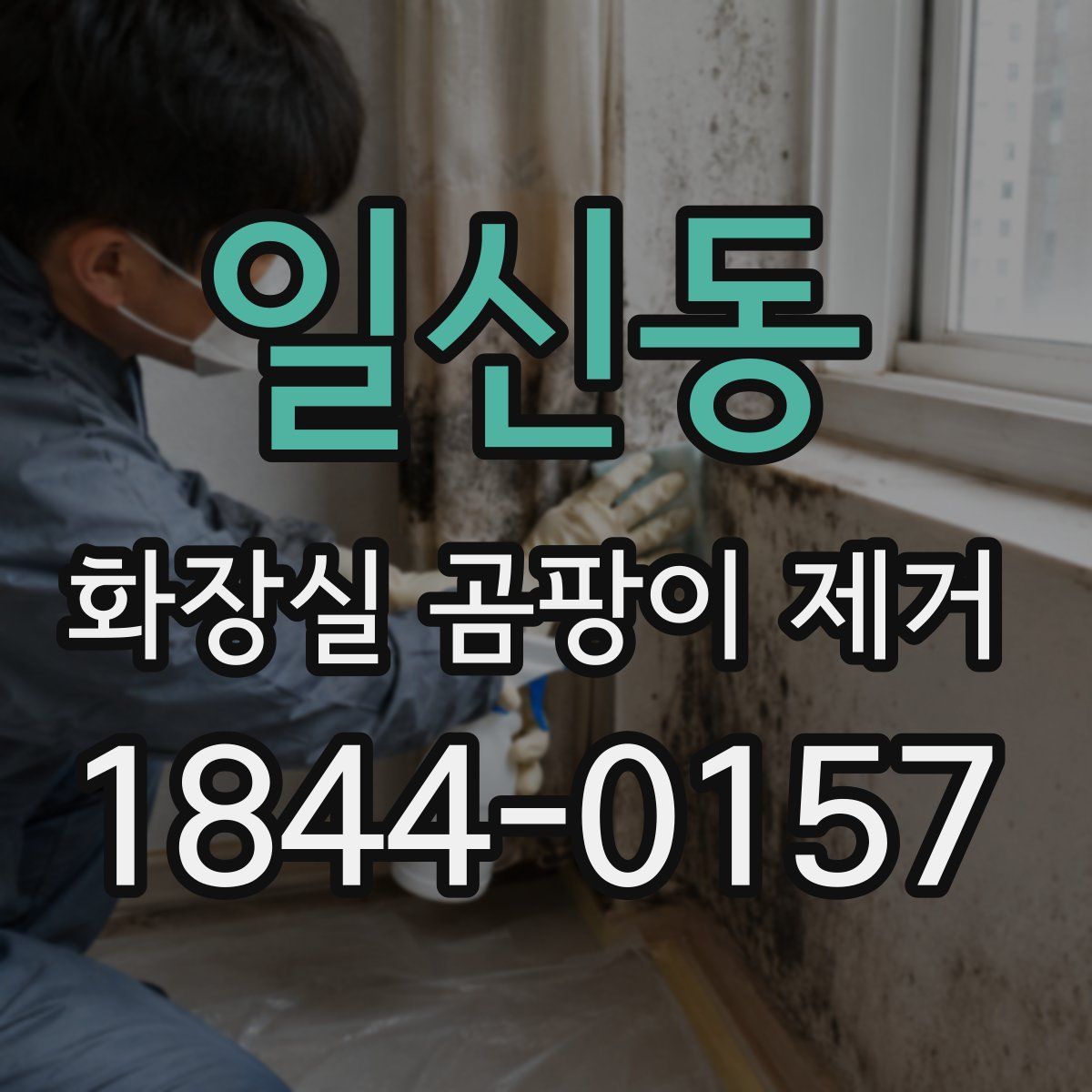 일신동 화장실 곰팡이 제거