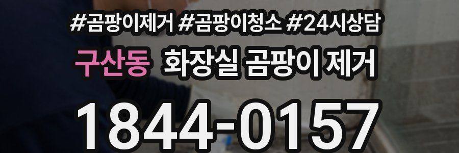 구산동 화장실 곰팡이 제거