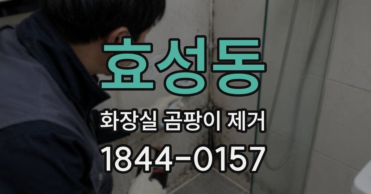 효성동 화장실 곰팡이 제거