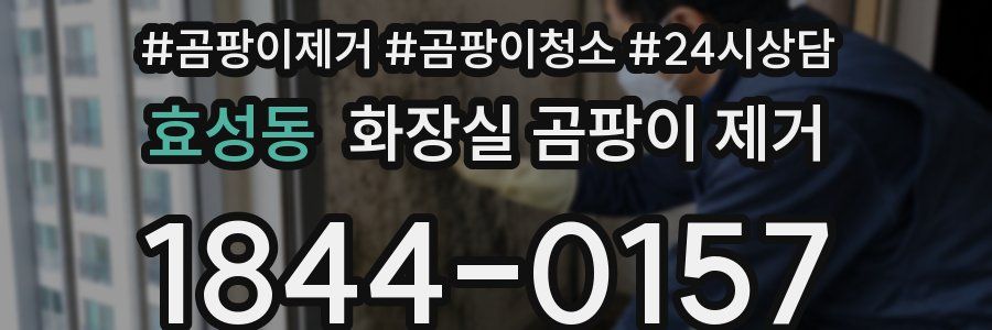 효성동 화장실 곰팡이 제거