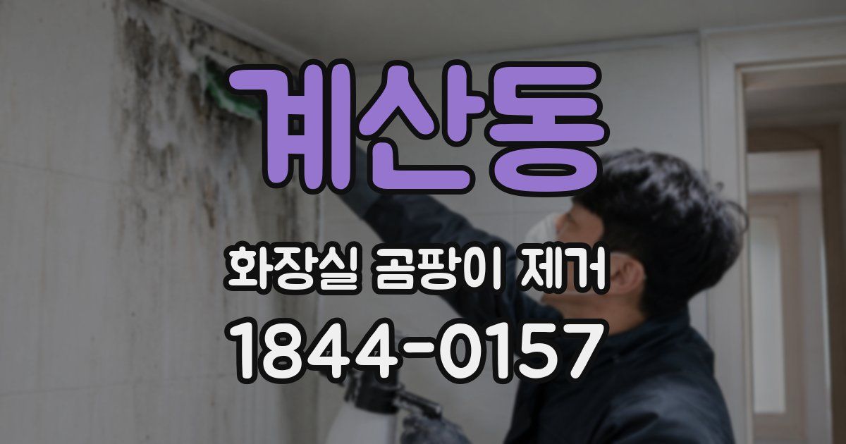 계산동 화장실 곰팡이 제거