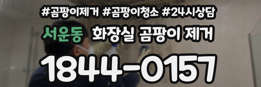 서운동 화장실 곰팡이 제거