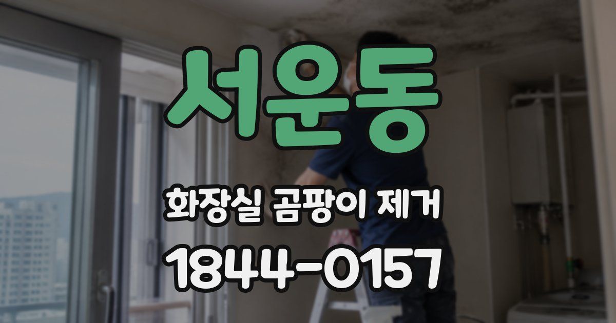 서운동 화장실 곰팡이 제거