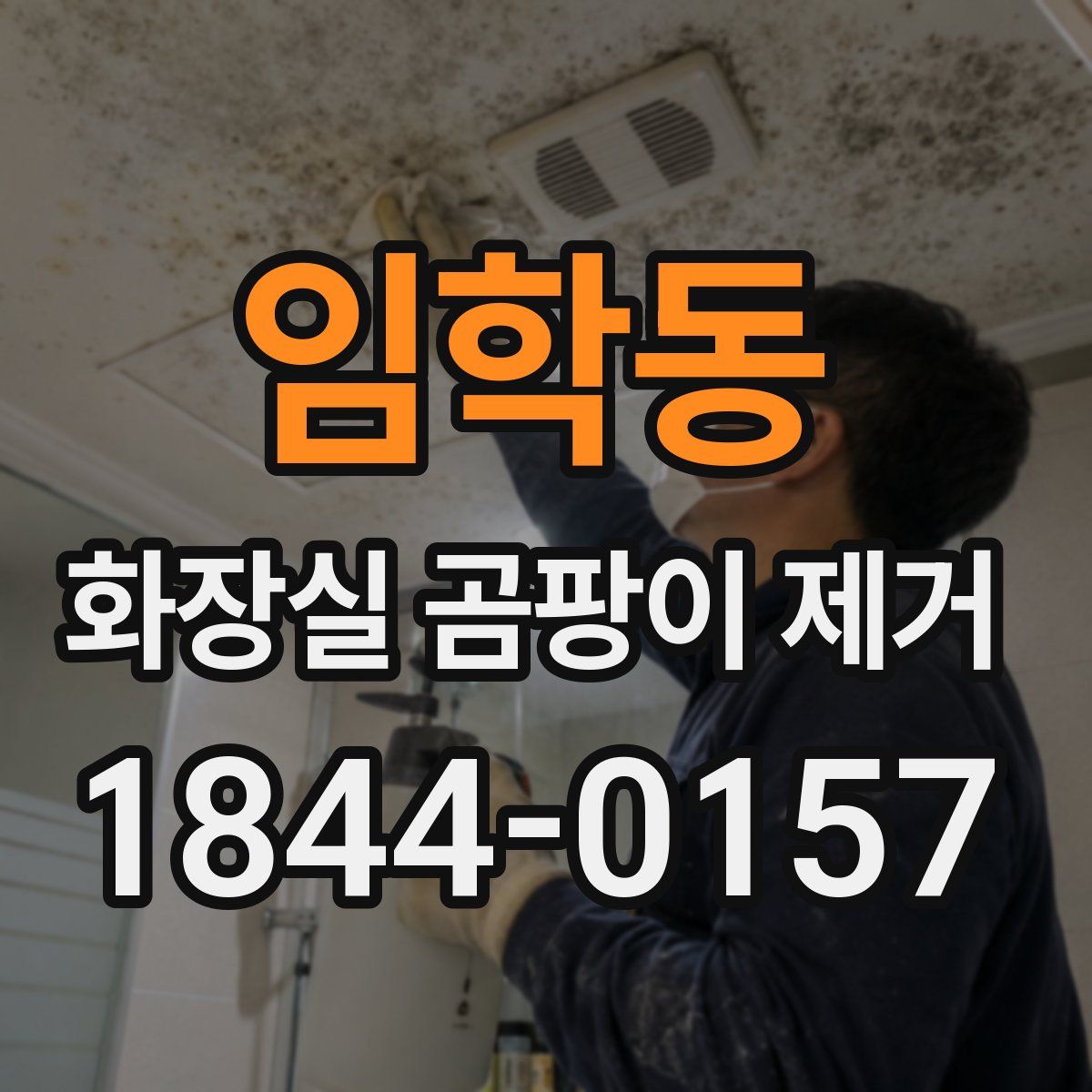 임학동 화장실 곰팡이 제거