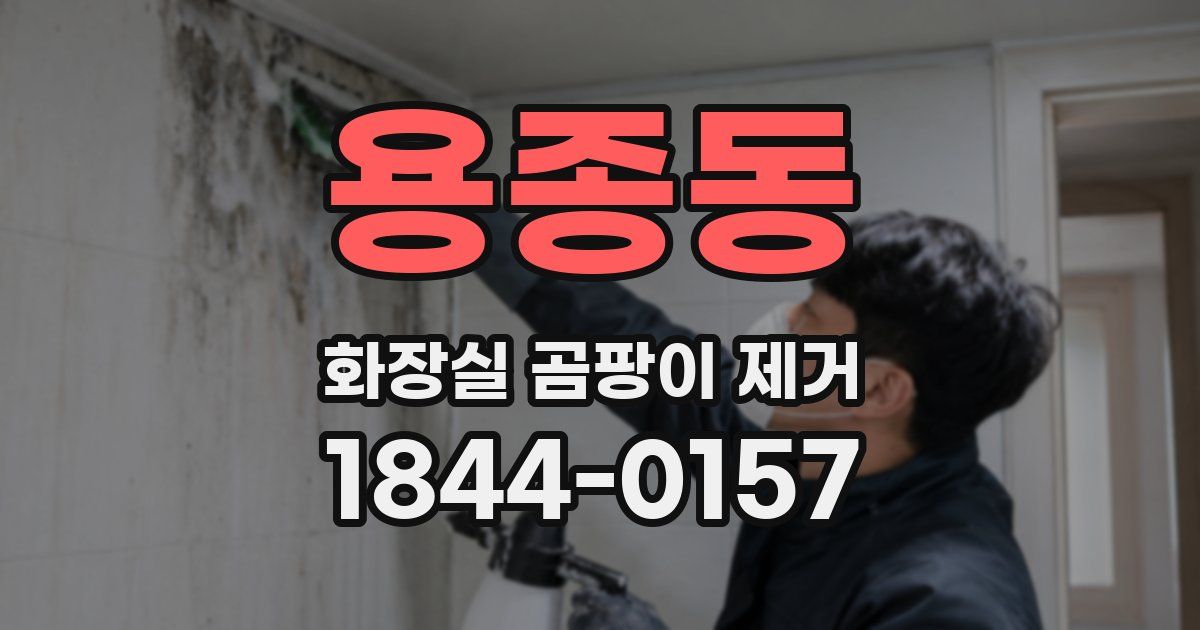 용종동 화장실 곰팡이 제거
