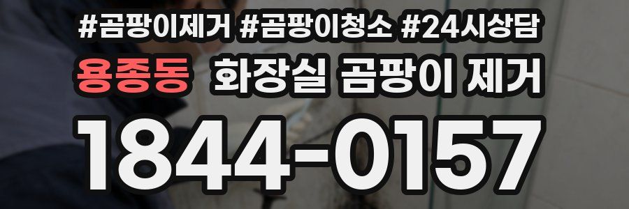 용종동 화장실 곰팡이 제거