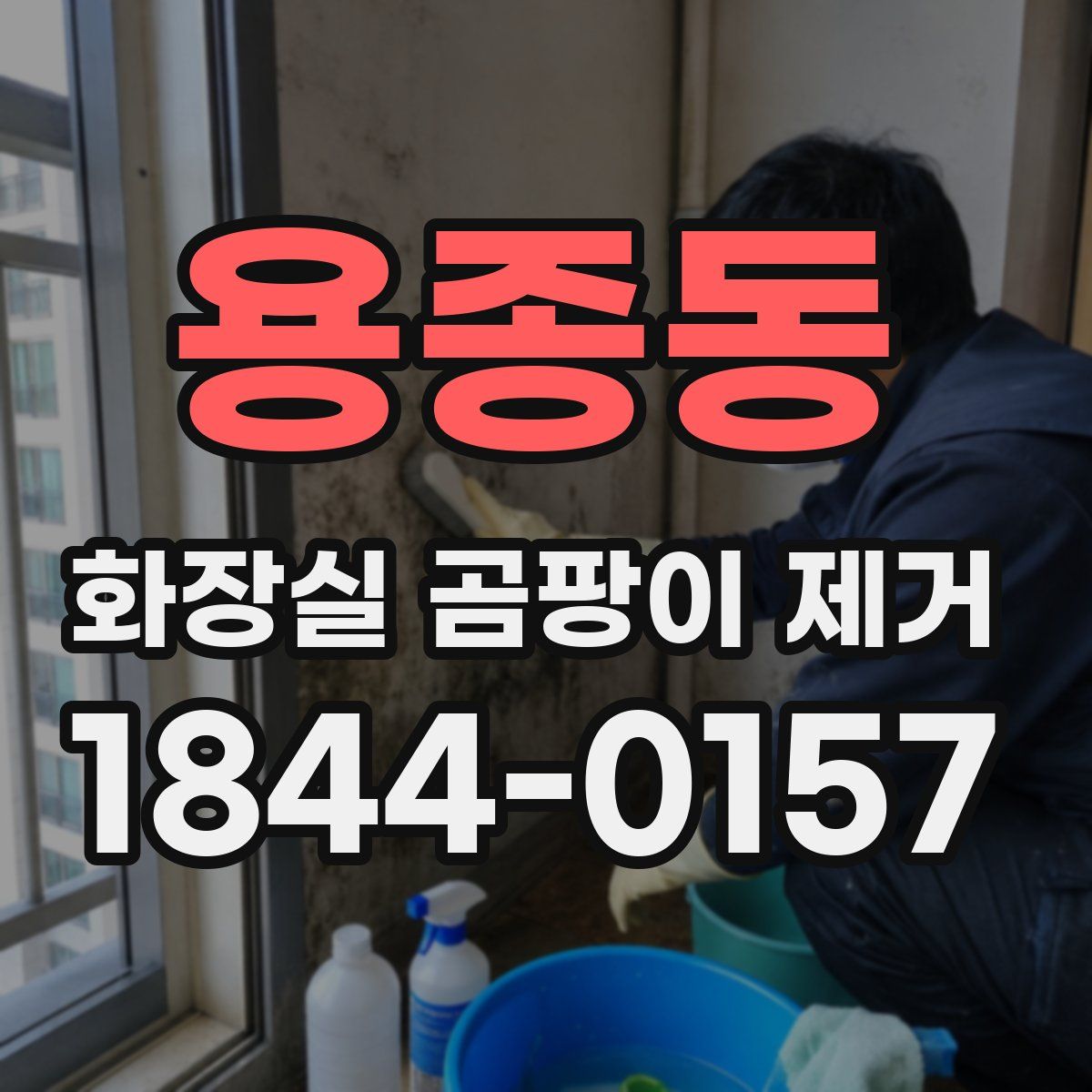 용종동 화장실 곰팡이 제거