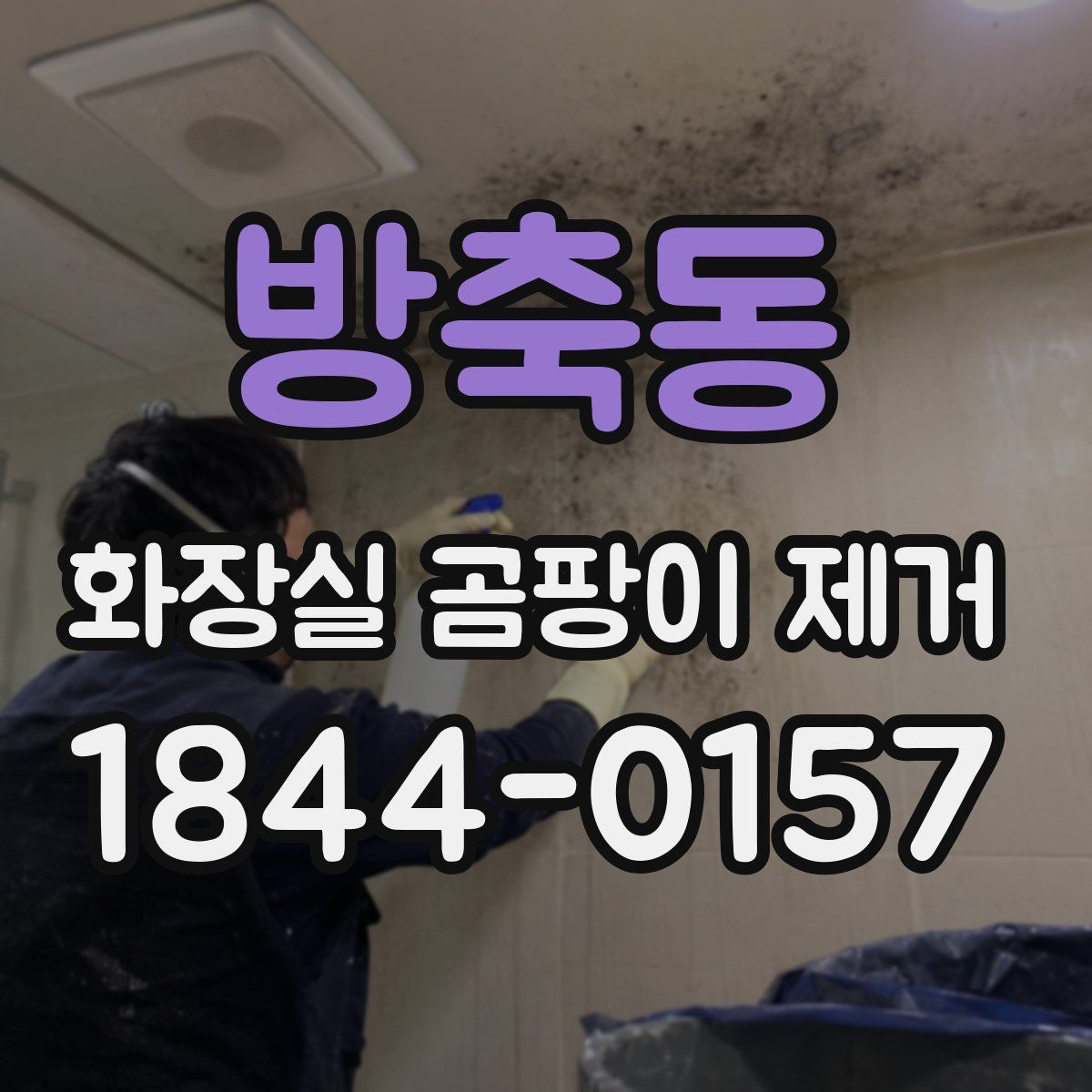방축동 화장실 곰팡이 제거