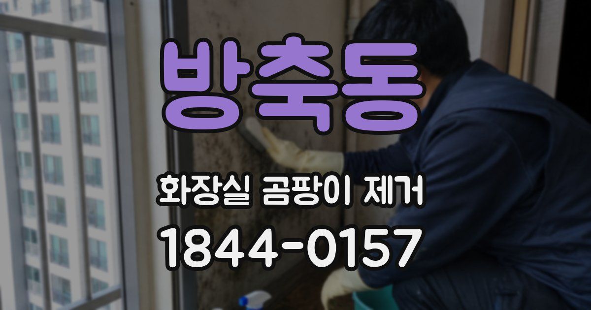 방축동 화장실 곰팡이 제거