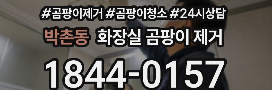 박촌동 화장실 곰팡이 제거
