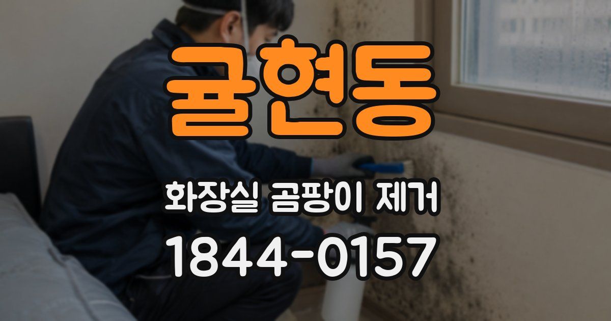 귤현동 화장실 곰팡이 제거