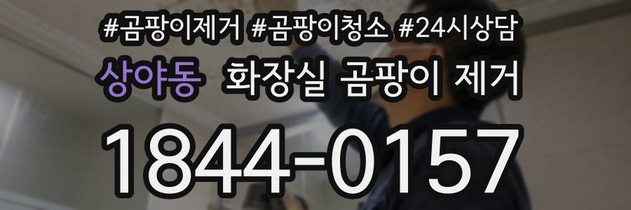 상야동 화장실 곰팡이 제거