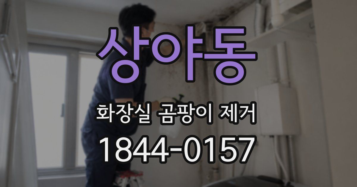 상야동 화장실 곰팡이 제거