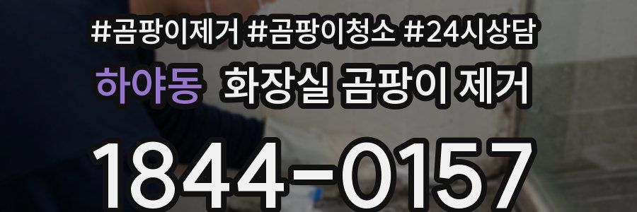 하야동 화장실 곰팡이 제거