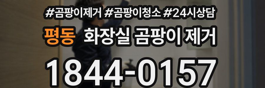 평동 화장실 곰팡이 제거