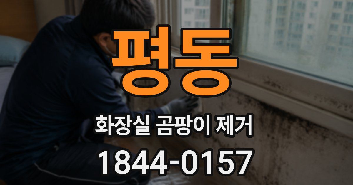 평동 화장실 곰팡이 제거