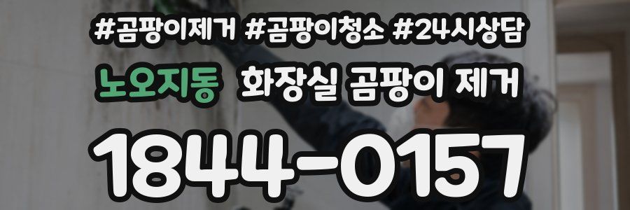 노오지동 화장실 곰팡이 제거