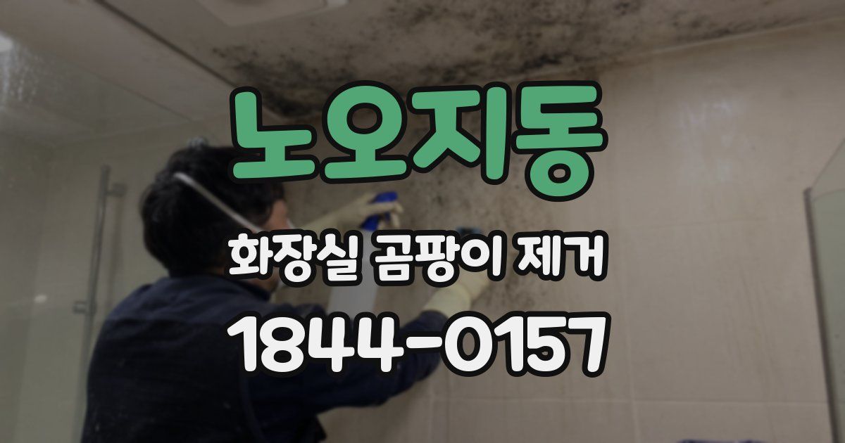 노오지동 화장실 곰팡이 제거