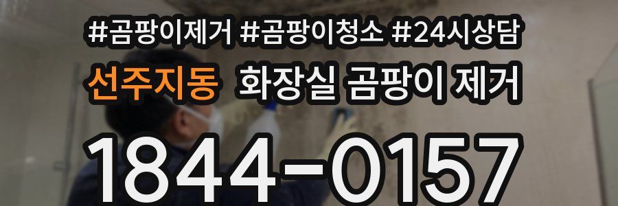 선주지동 화장실 곰팡이 제거
