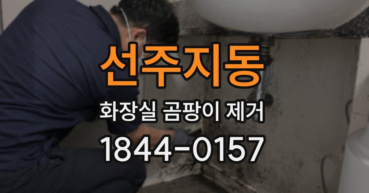 선주지동 화장실 곰팡이 제거