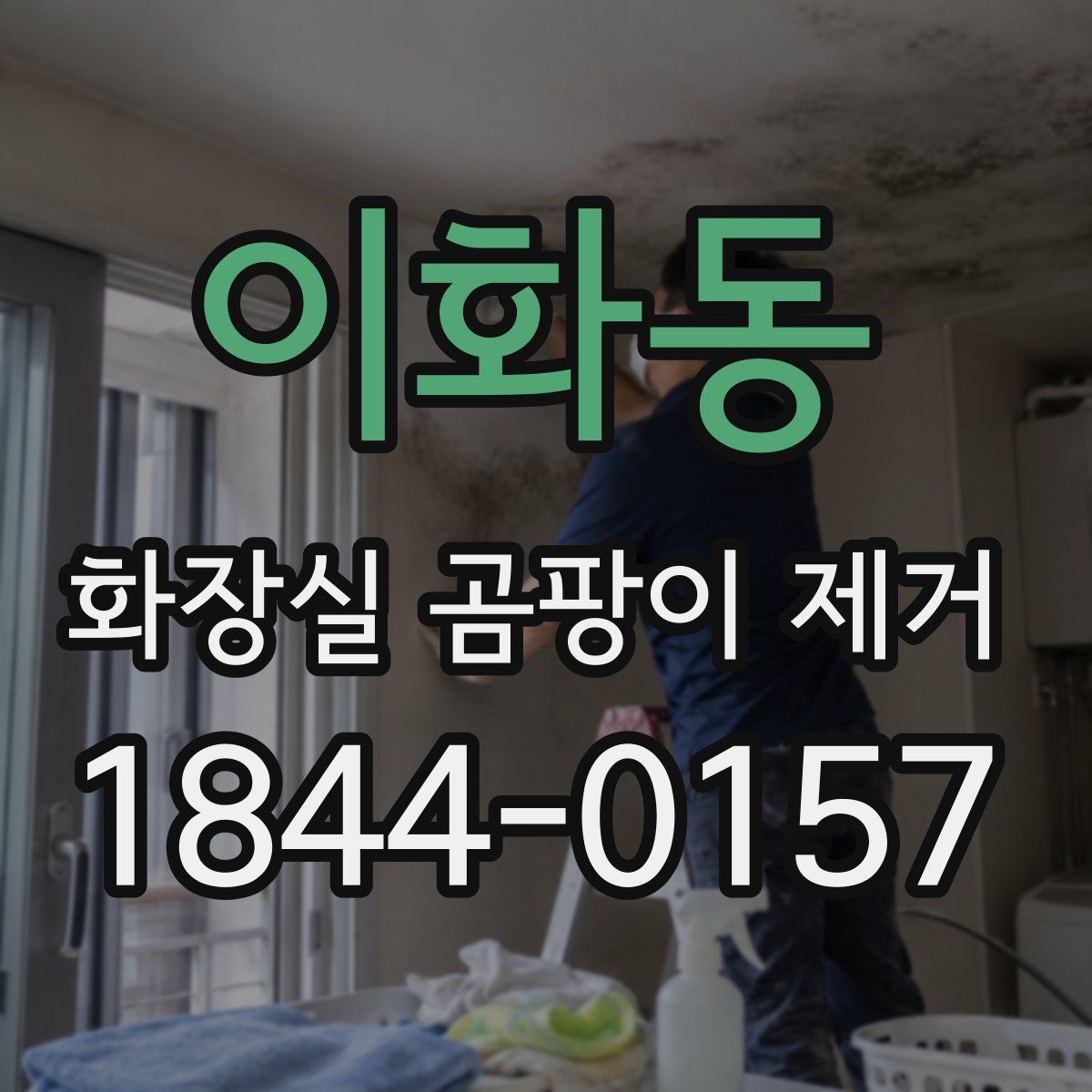 이화동 화장실 곰팡이 제거