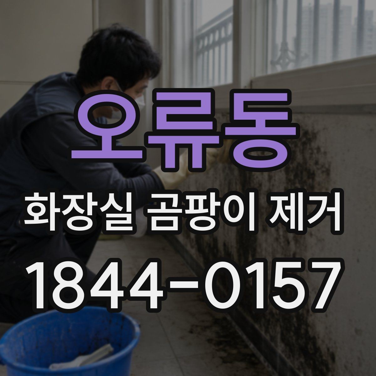 오류동 화장실 곰팡이 제거 바닥 배수구 주변 검은 자국 원인