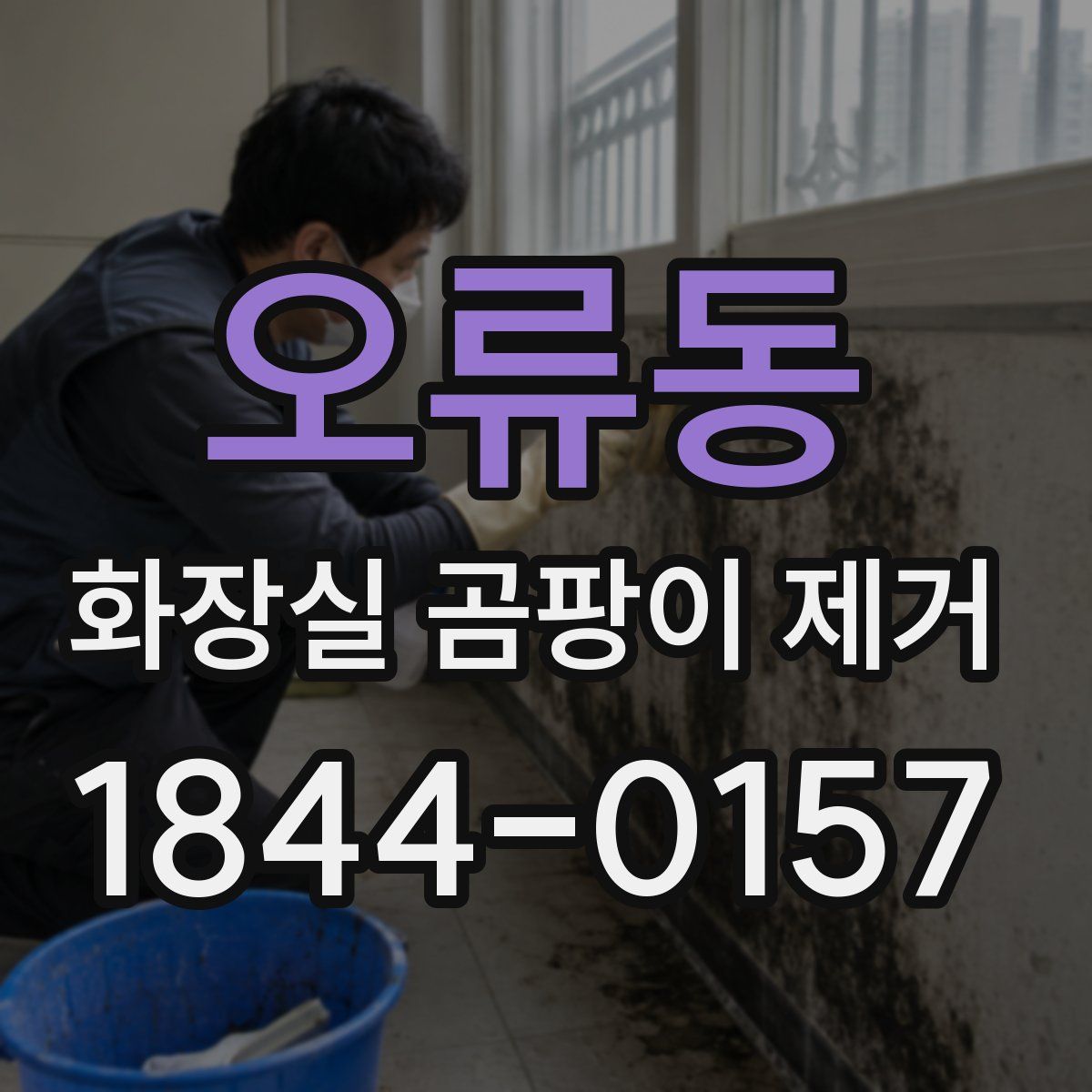 오류동 화장실 곰팡이 제거