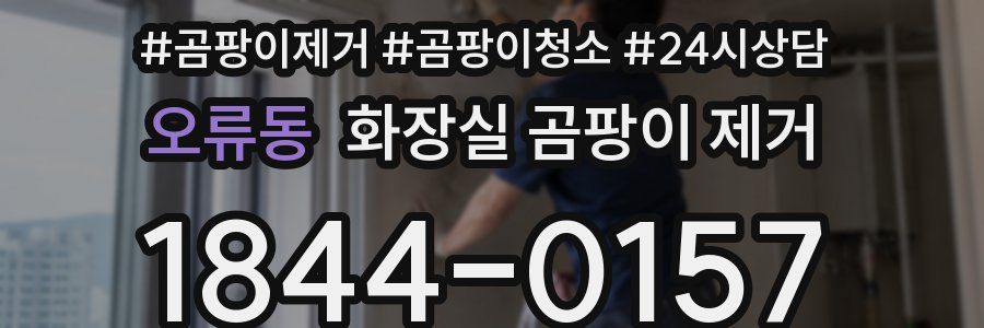 오류동 화장실 곰팡이 제거