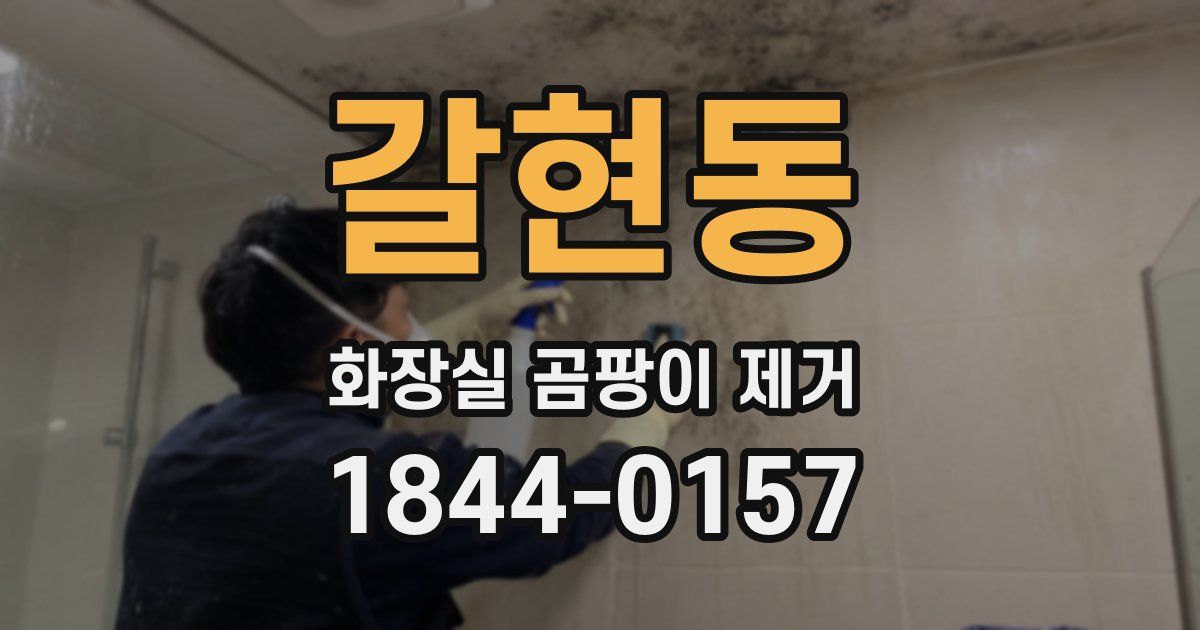 갈현동 화장실 곰팡이 제거