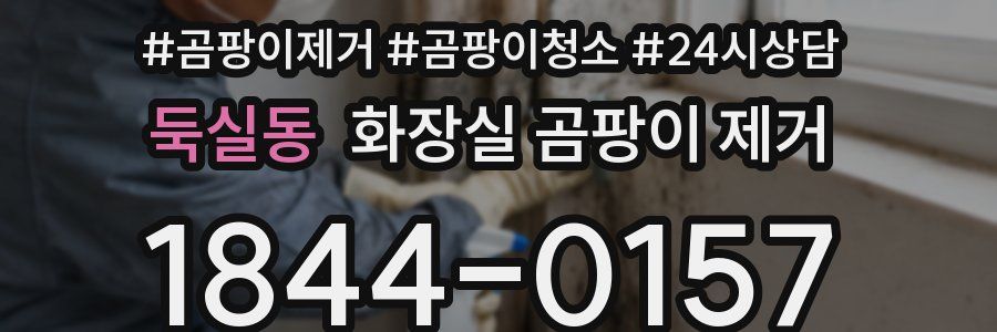 둑실동 화장실 곰팡이 제거