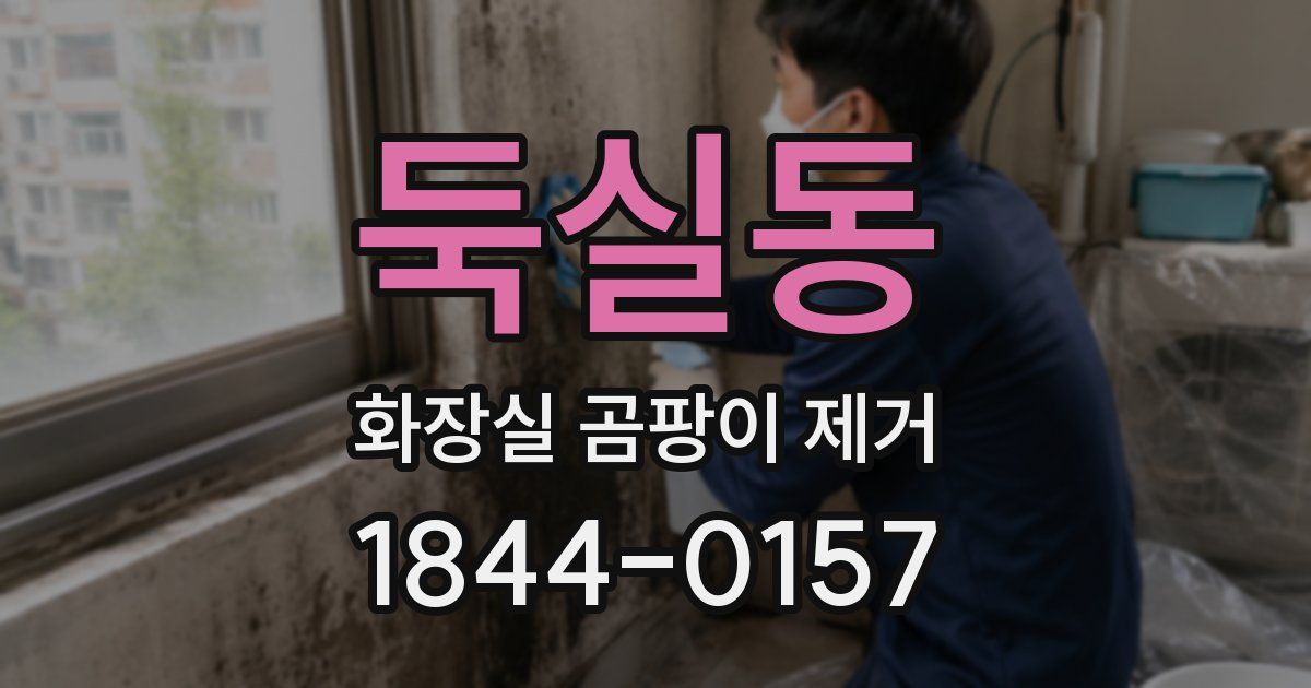 둑실동 화장실 곰팡이 제거