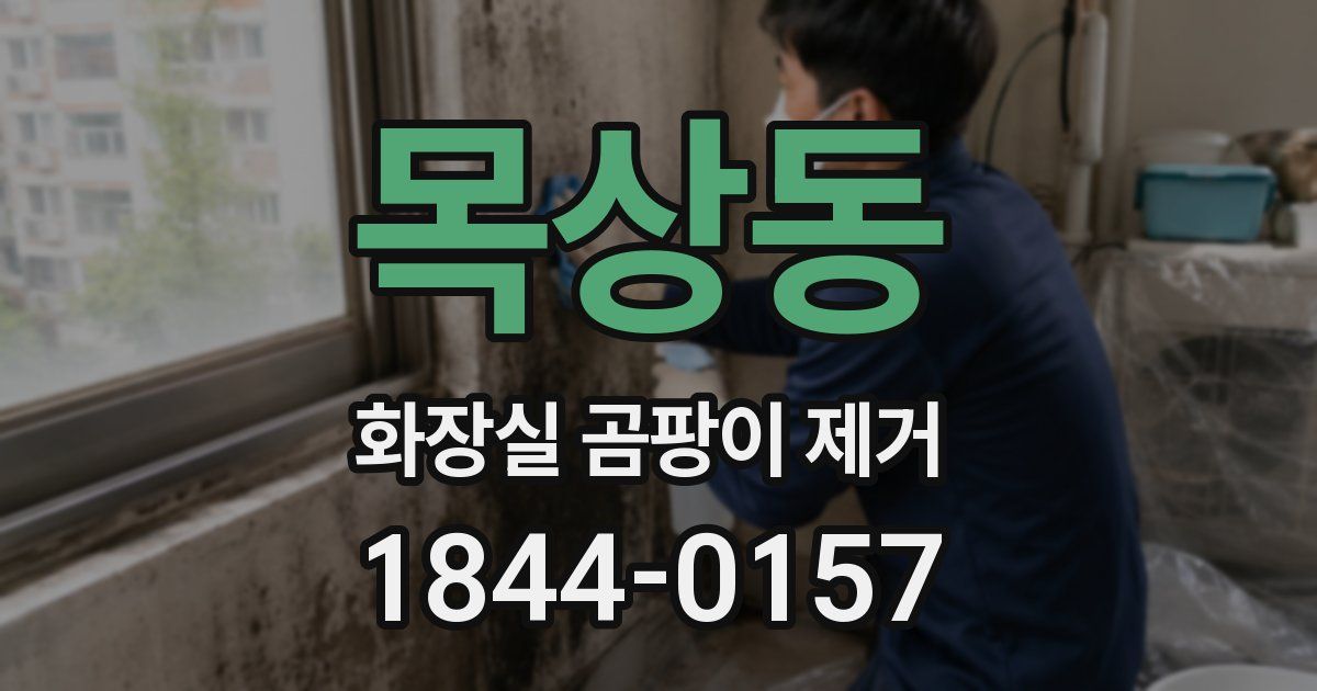 목상동 화장실 곰팡이 제거