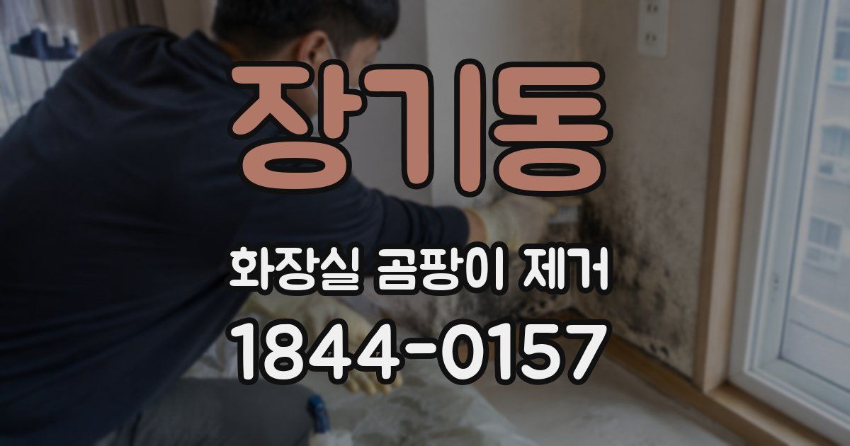 장기동 화장실 곰팡이 제거