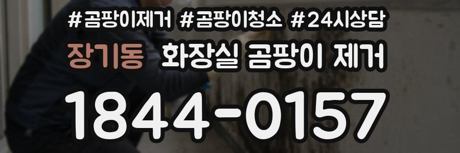 장기동 화장실 곰팡이 제거